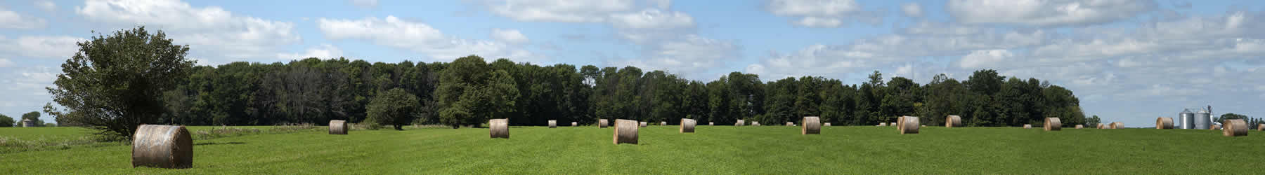 Minnesota Farmers Workers Compensation Services